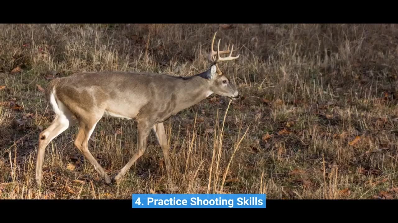 How "Deer Season 101: Everything You Need to Know Before You Go Hunting" can Save You Time, Str...