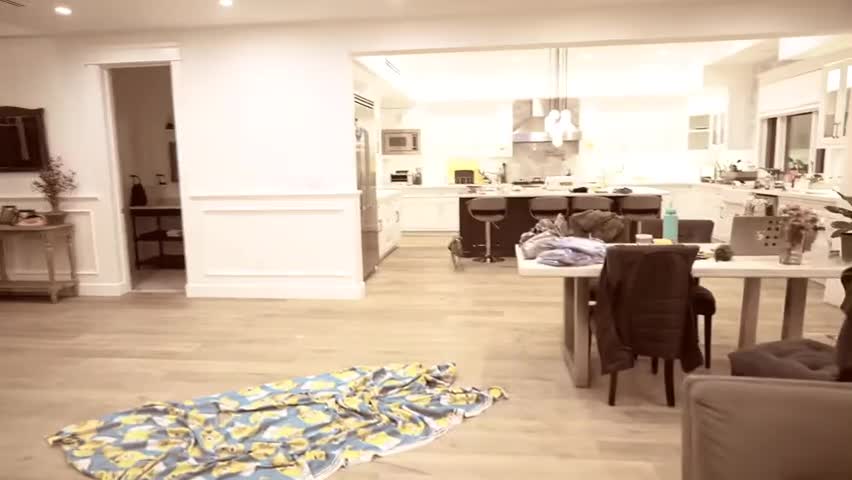 I Filmed My Dog Whenever He Cried Or Was Nasty For 24 Hours