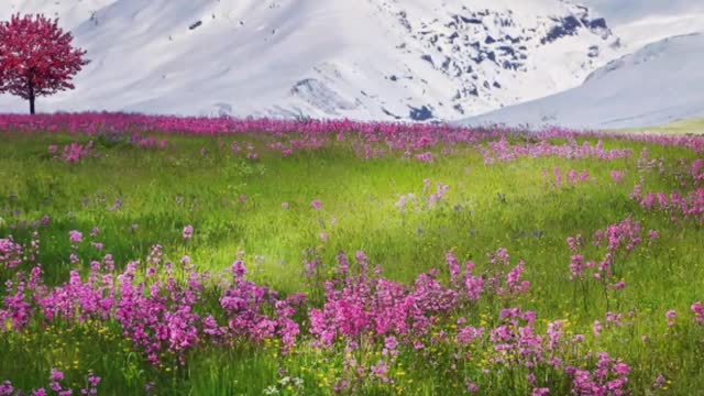 Natural beauty with relaxing music