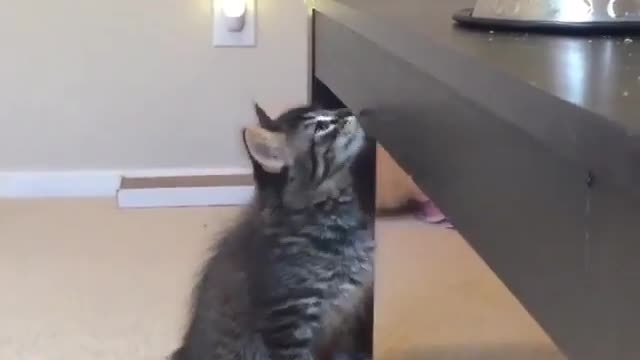 reflects
