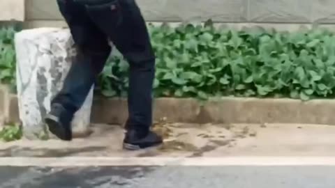 Funny videos