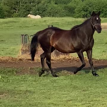 27 years old and still beautiful