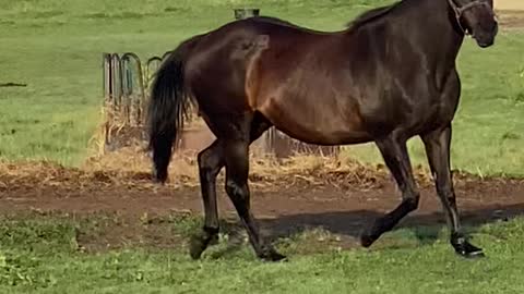 27 years old and still beautiful