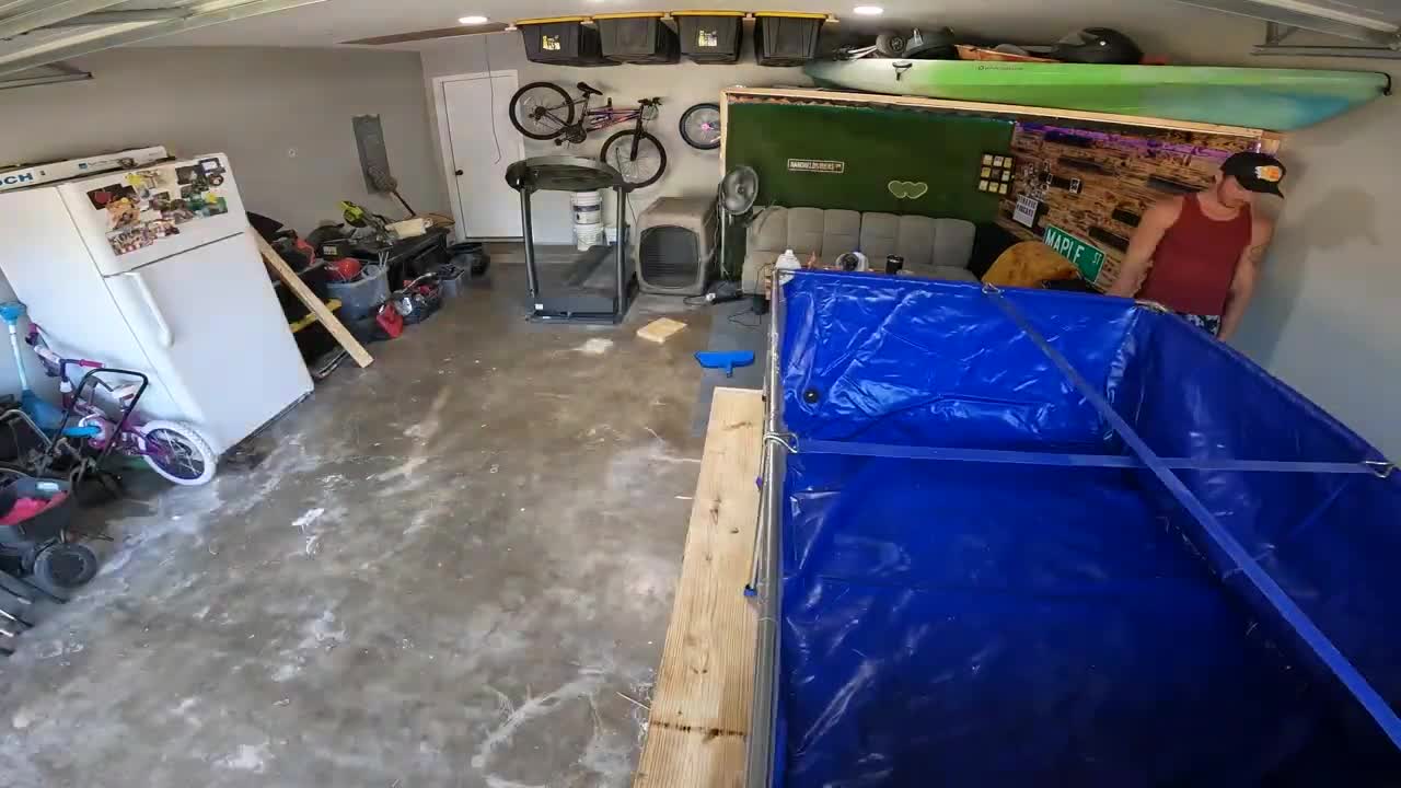 transferring fish to new pool pond