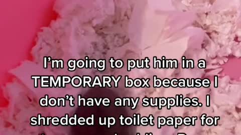 poor guy 😕