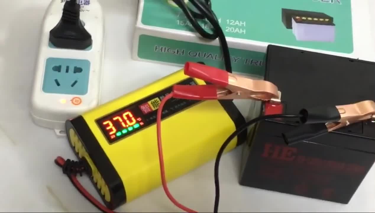 Smart Automatic 12V 2A Battery Charger