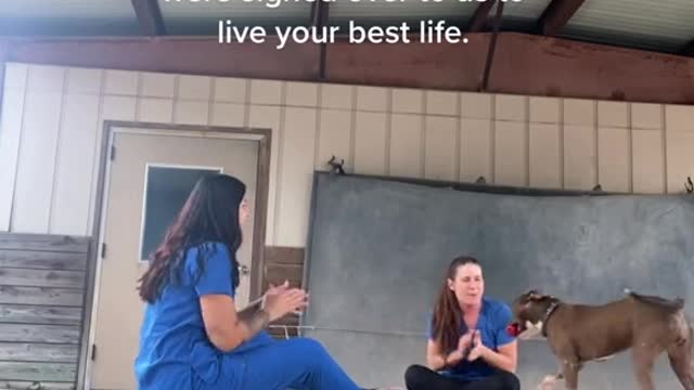 When you were brought in to be euthanized but showed Ho sians of