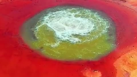 Amazing Beautiful Nature Video