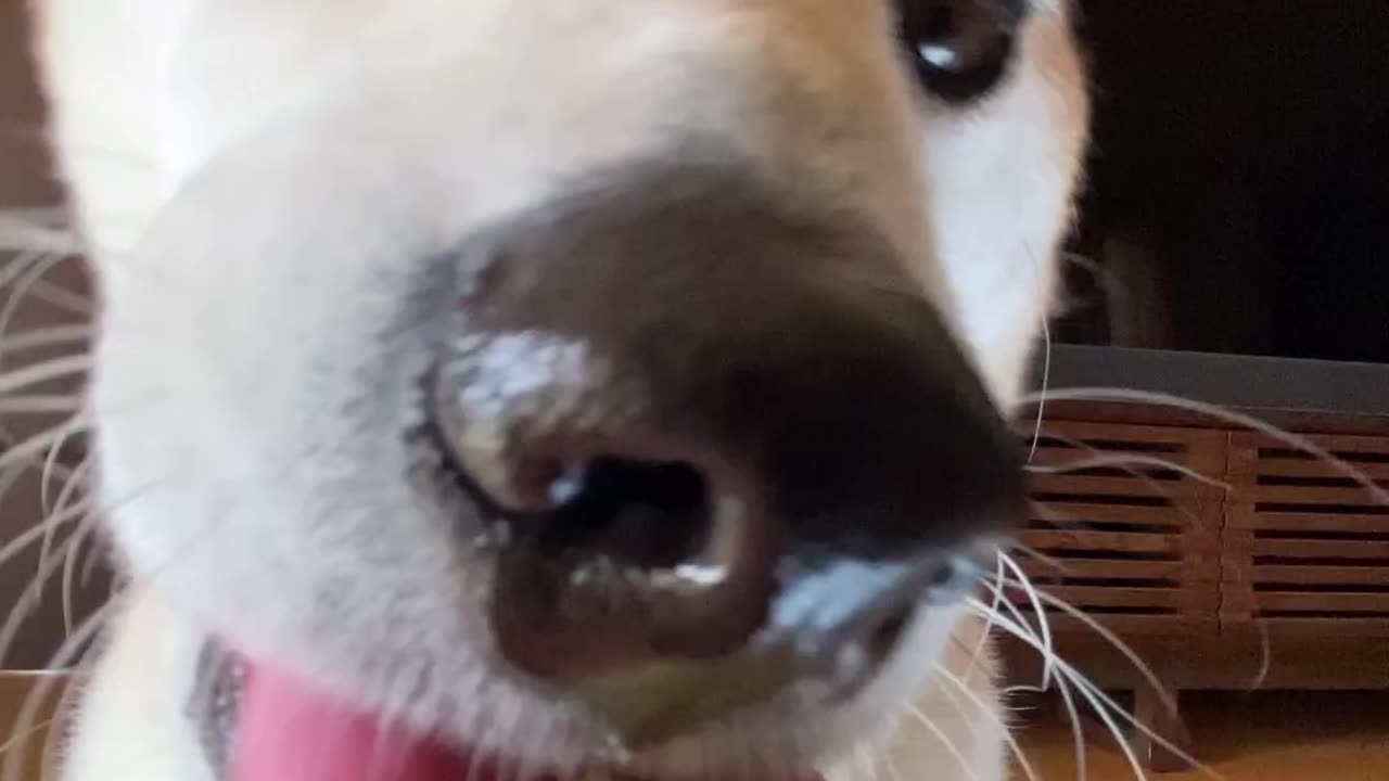 Eat apple