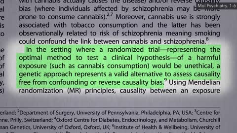 Does Marijuana Cause Schizophrenia_