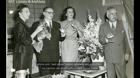 POODLE - O GUIA COMPLETO