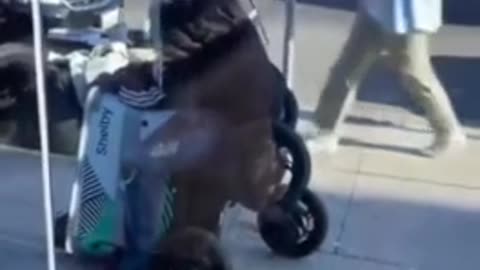 Food Delivery Robots Are Getting Robbed In Liberal Cali