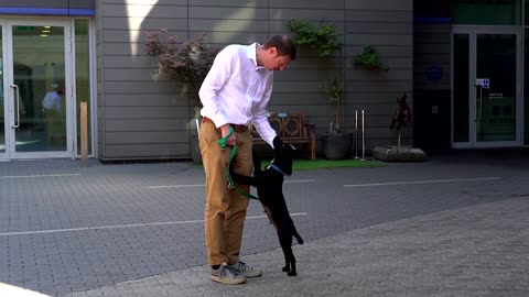 Britons give up their pets as living costs soar