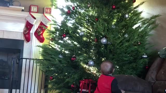 Baby discovers ray of sunshine and is mind blown