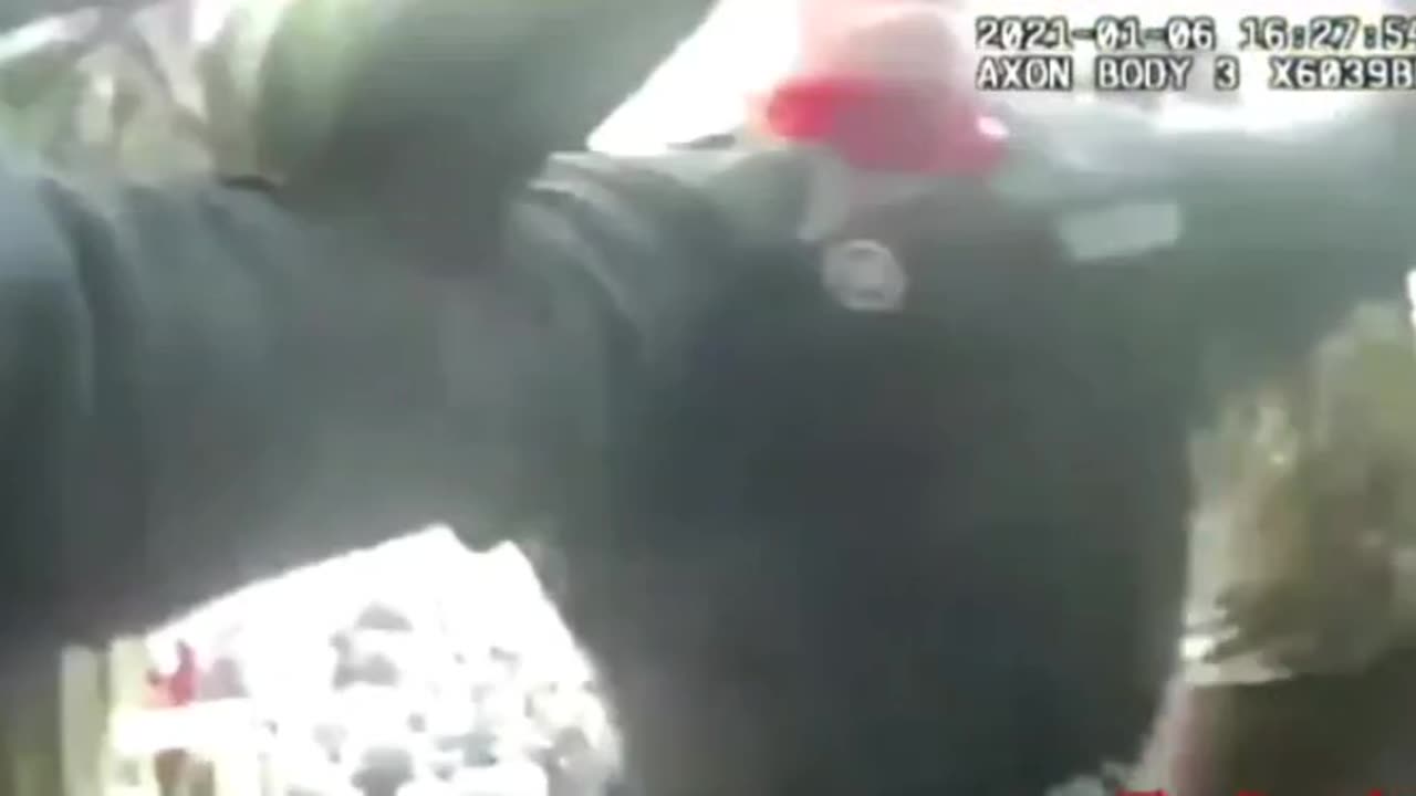 Captol Police Officer Lila Morris