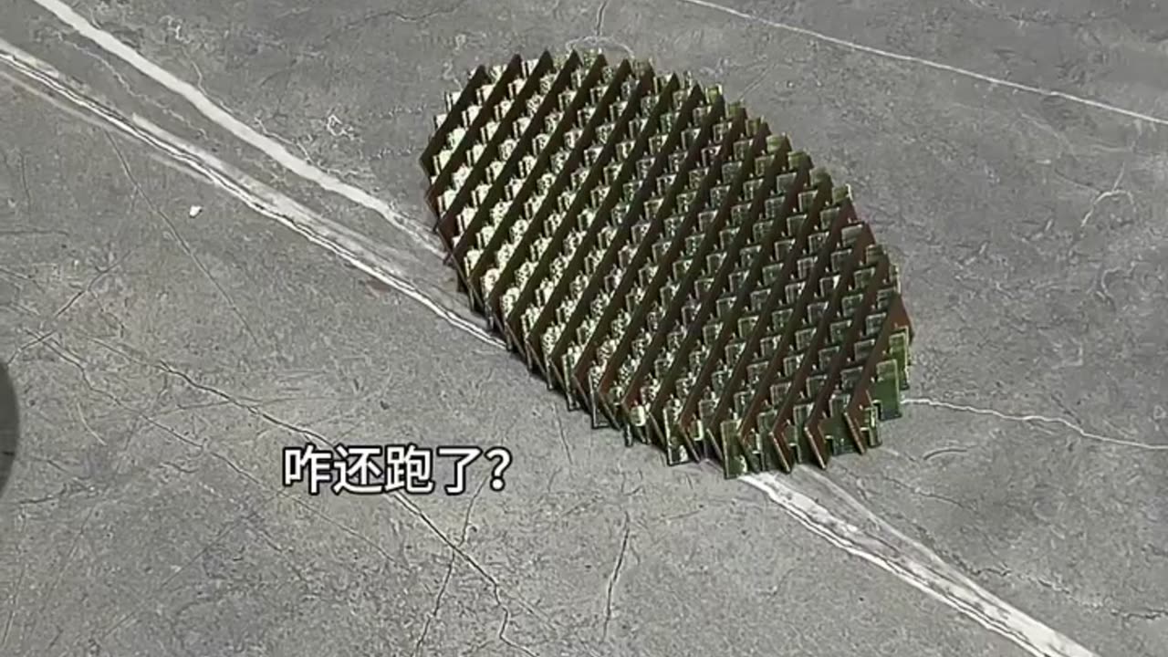 GUESS WHAT IS THIS