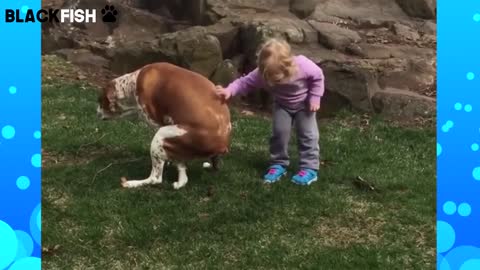 PROVA A NON RIDERE CHALLENGE - CANI DIVERTENTI (IMPOSSIBILE)