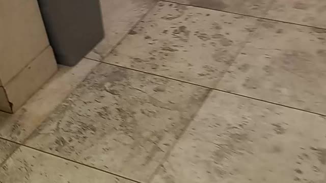 Bloomingdale's Millenia Mall ladies' restroom lower level