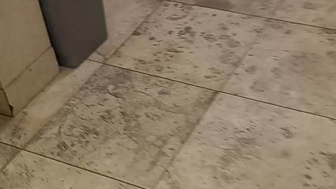 Bloomingdale's Millenia Mall ladies' restroom lower level