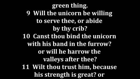 Job 39 King James version