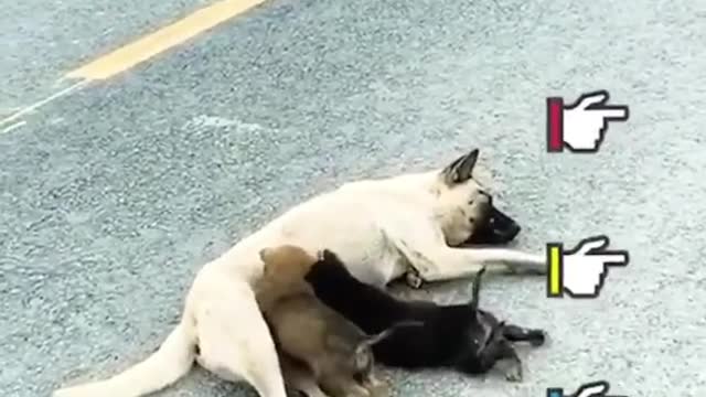 please help them