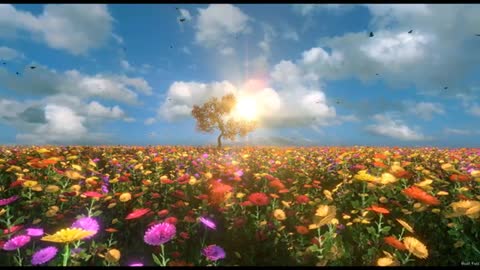 Amazing Nature