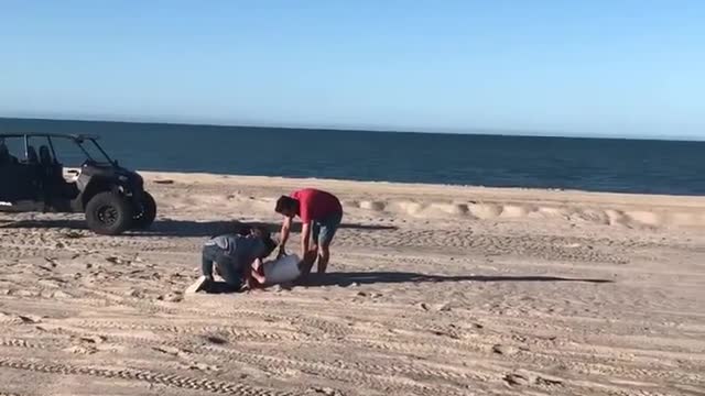 Bucket Lands on Guy's Head After He Puts Fireworks Under it and Launches it From Ground