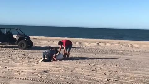 Bucket Lands on Guy's Head After He Puts Fireworks Under it and Launches it From Ground