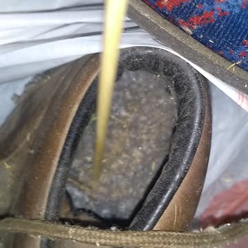 Becareful with footwear infections