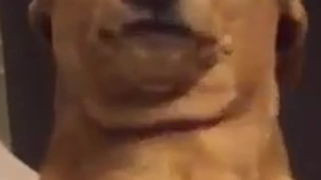 funny random clip 😂😂😂