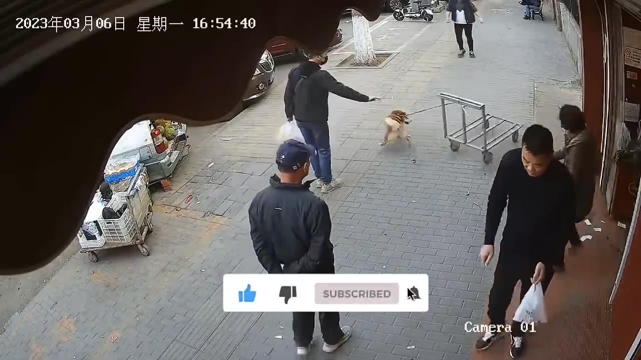 TRY NOT TO LAUGH 😆 Best Funny Videos Compilation part 4