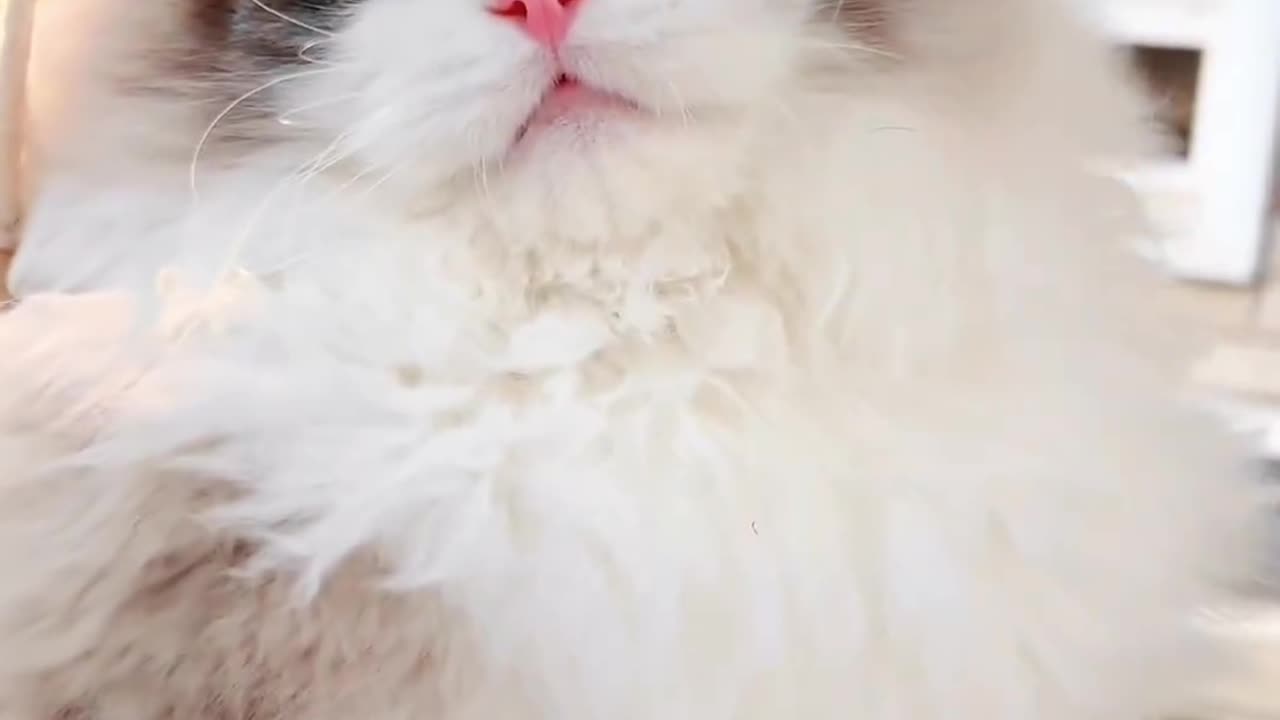 🥰🥰🥳🥳
