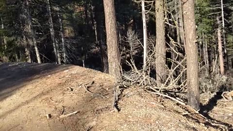 Vid 8- Community Stalking- When it Ramped Up