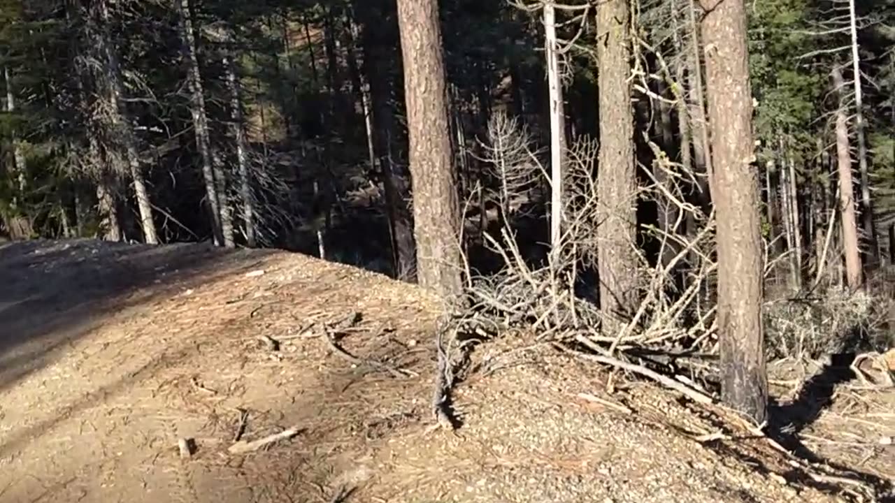 Vid 8- Community Stalking- When it Ramped Up