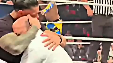 Best Wwe fight