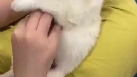 How cute is this🥰