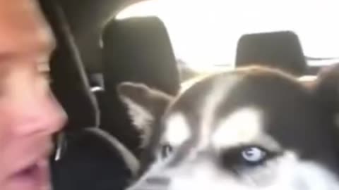 Try not to laugh 😂