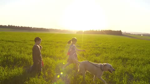 children dog friends field animal pet playing puppy