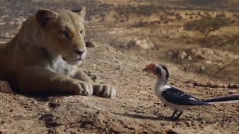 Simba movie##viral scene