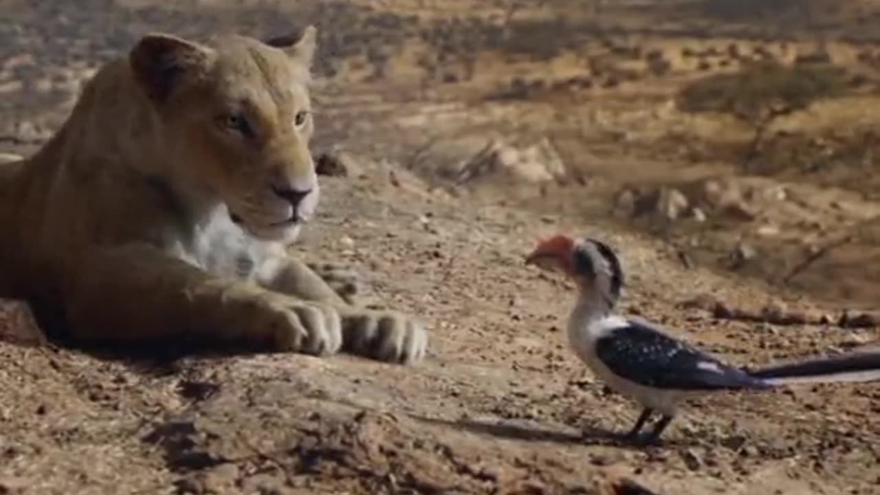 Simba movie##viral scene