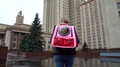Hosico and pink backpack