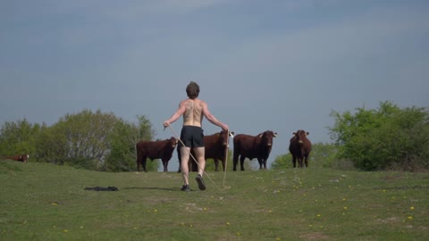 New-Age Cow Boy