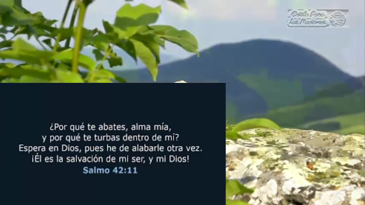 Espera en Dios; porque aún he de alabarle,Salvación mía y Dios mío. (Devocional)