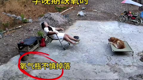 The dog is the man bestfriends..