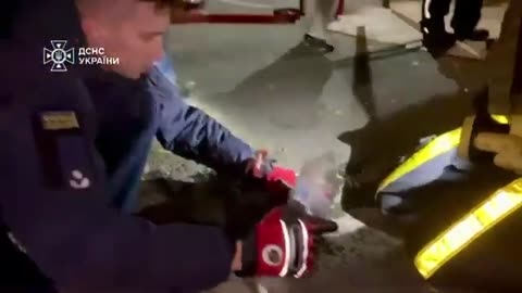 Kyiv: rescuers resuscitate a cat, his apartment was almost completely burned