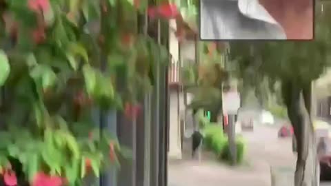 Gay Pride: Angel of Penises