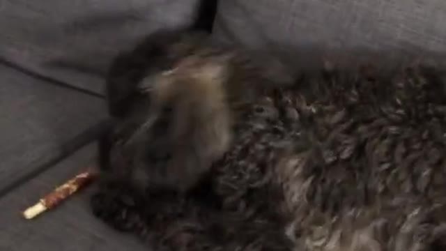 wee