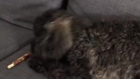 wee