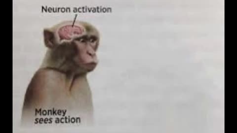 Random Memes 280