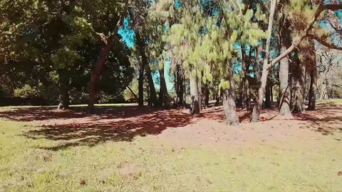 Wedding on a farm plant
